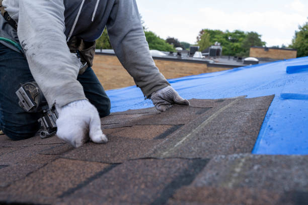 Best Roof Leak Repair  in Hebron, OH