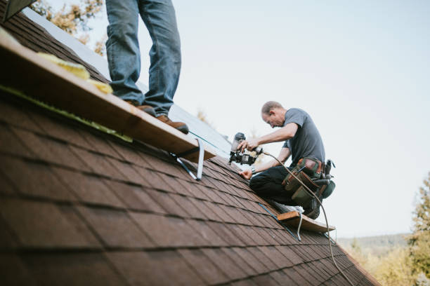 Best Roof Gutter Cleaning  in Hebron, OH